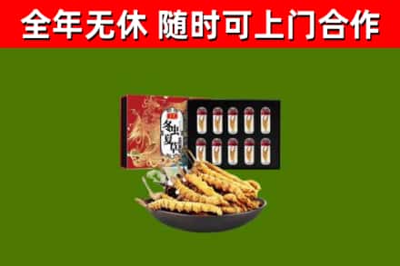 永兴回收冬虫夏草价格