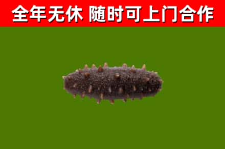 永兴回收海参干